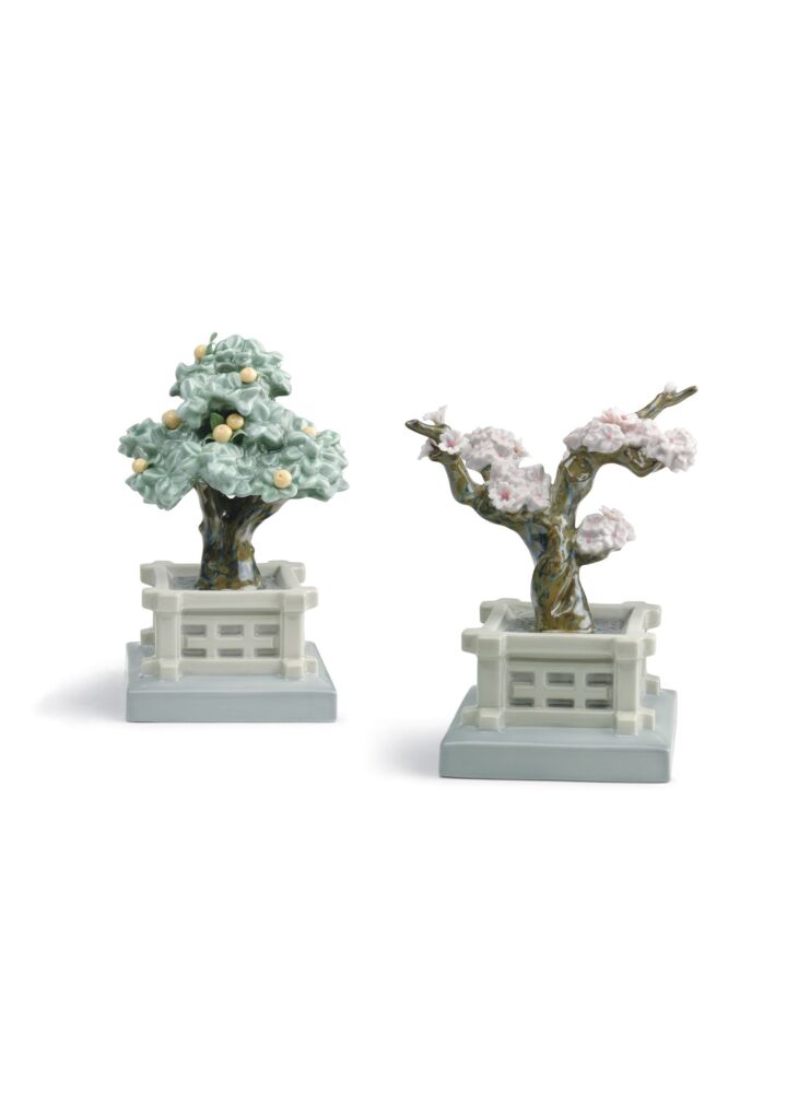 桜・橘 in Lladró