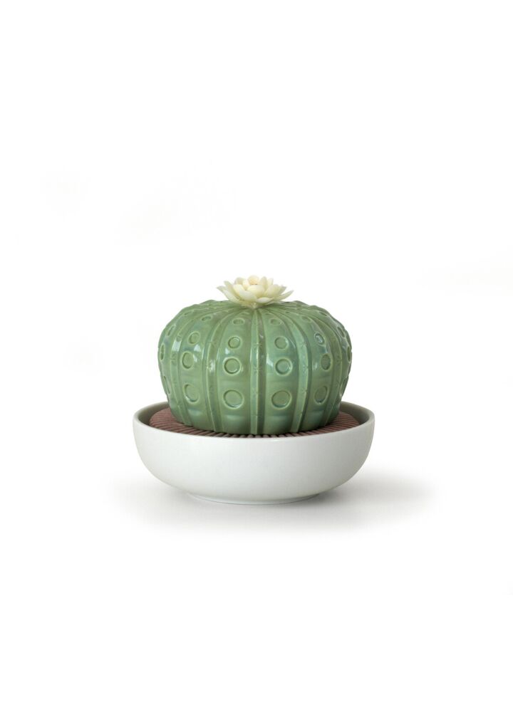 Diffusore profumo Astrophytum Cactus. Profumo Night Approaches in Lladró