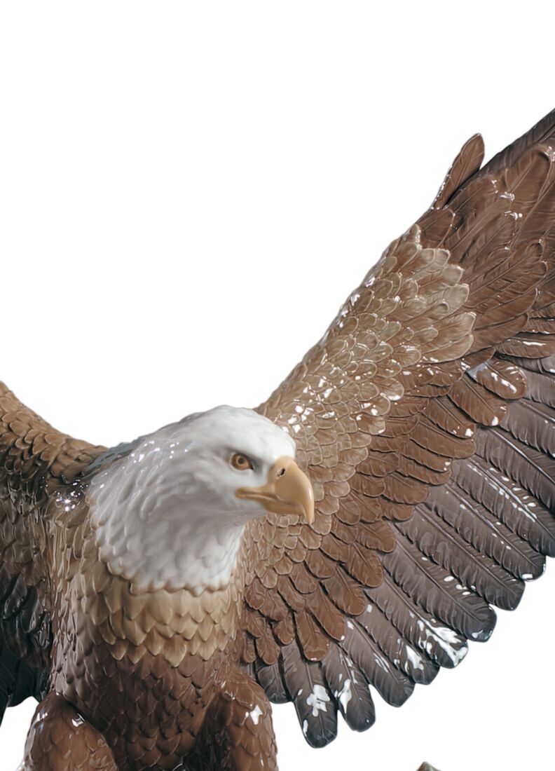 FREEDOM EAGLE、1 / 6
