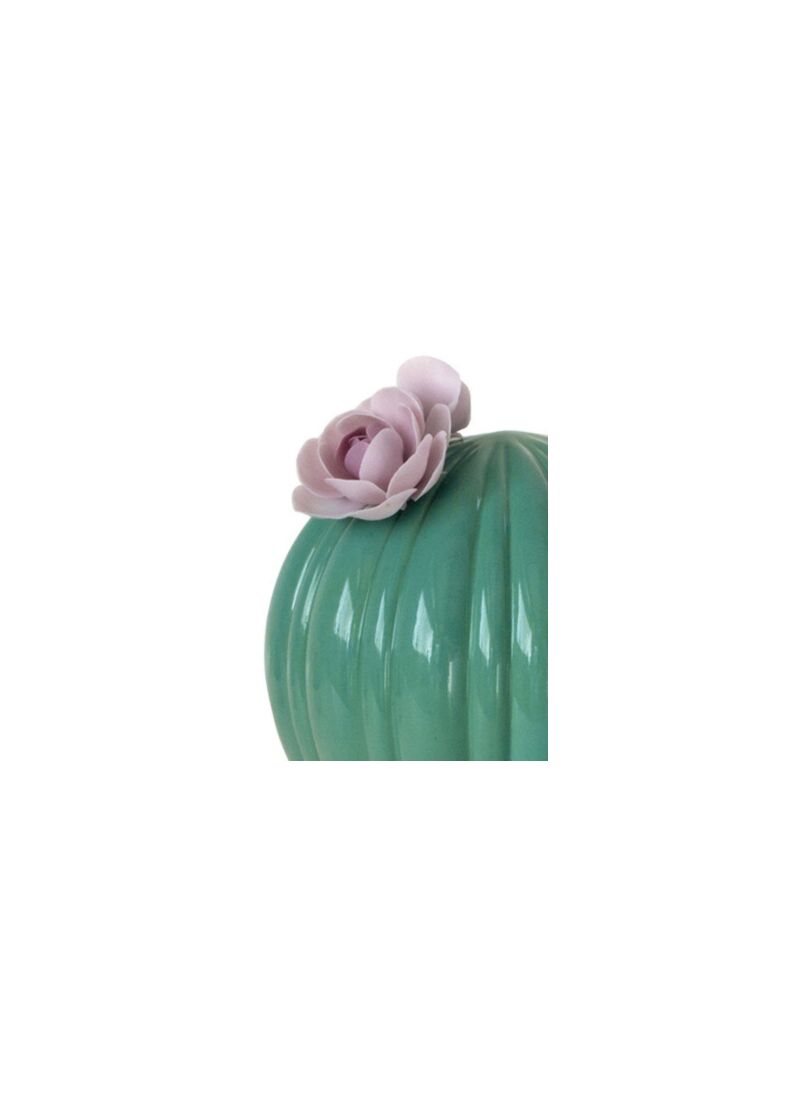 Diffusore profumo Ferocactus Cactus. Profumo Night Approaches, 1 di 5