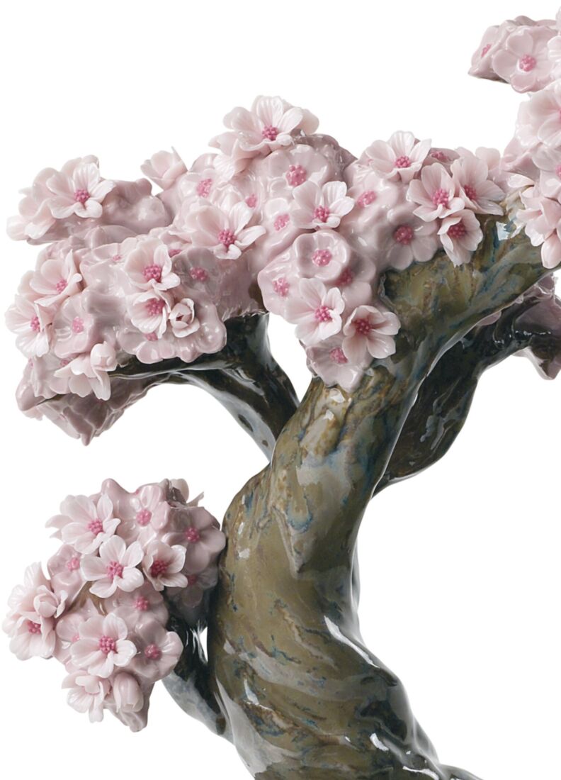 桜、1 / 2