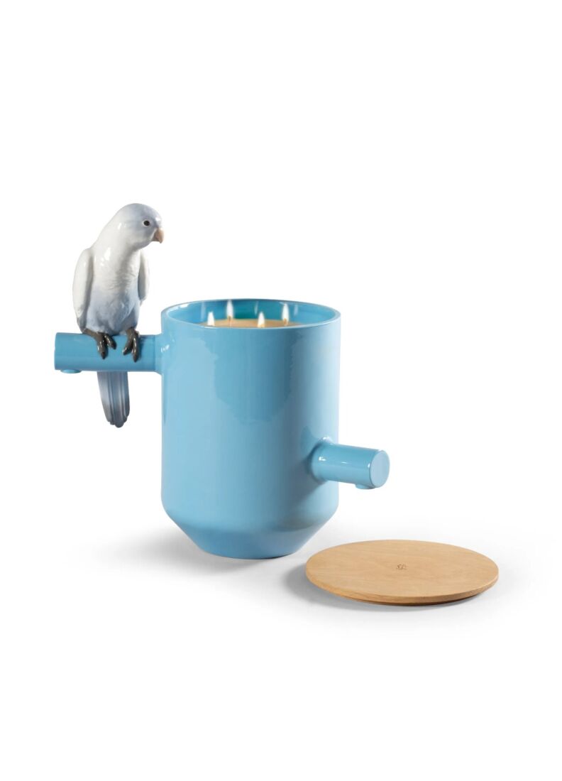 Set Candele Parrot Treasure, 1 di 9