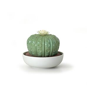 Diffusore profumo Astrophytum Cactus. Profumo Night Approaches in Lladró